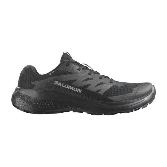 Salomon Alphaglide GTX